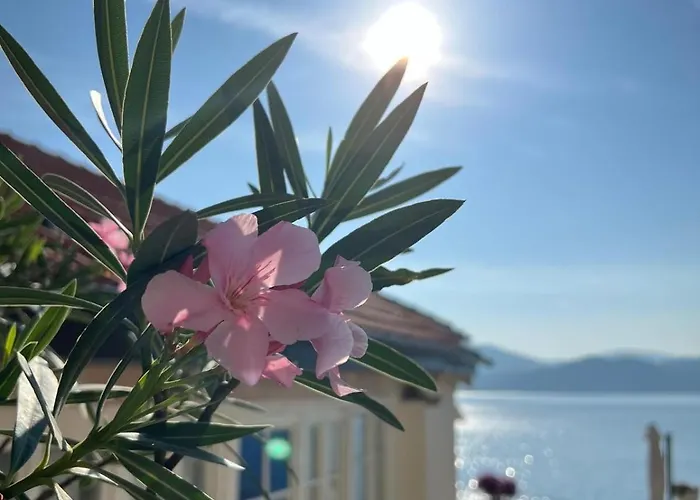 Schwalbenhaus Apartamento *